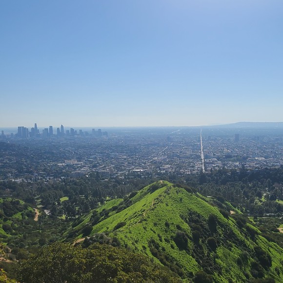 Meet your Posher, Diana - Picture 1 of 1